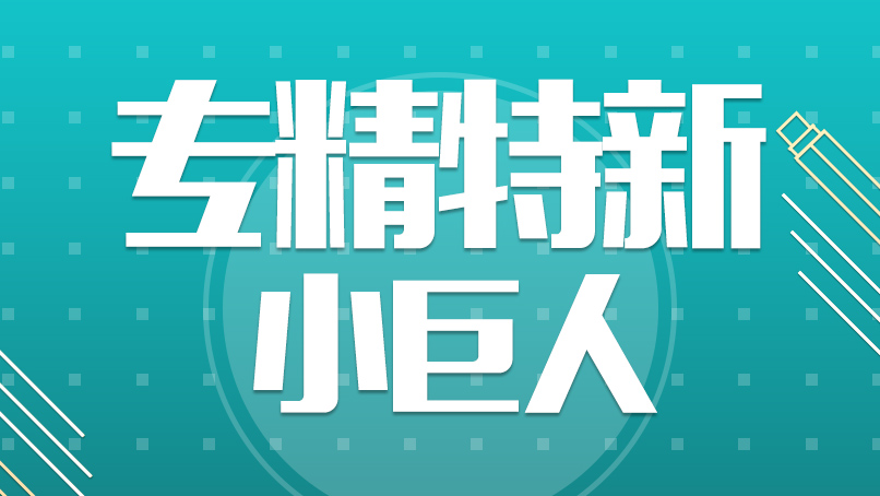 北京专精特新认定申报要点